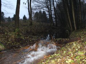 Ein Wasserfall am Rischebach